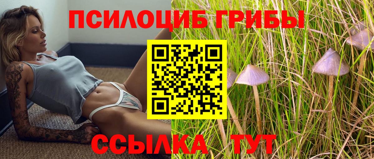Псилоцибиновые грибы Psilocybine cubensis  Вход с VPN  Михайловск 