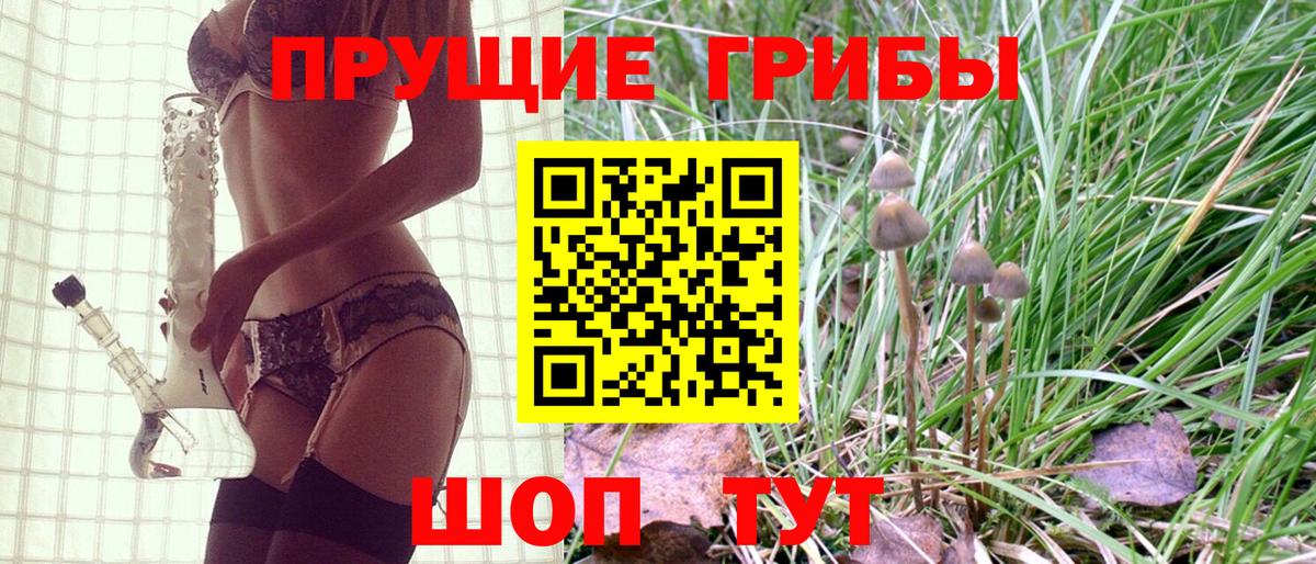 Псилоцибиновые грибы мицелий Михайловск